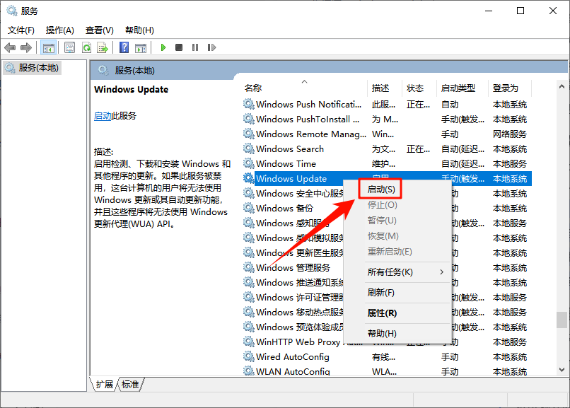 windows update无法启动怎么办11