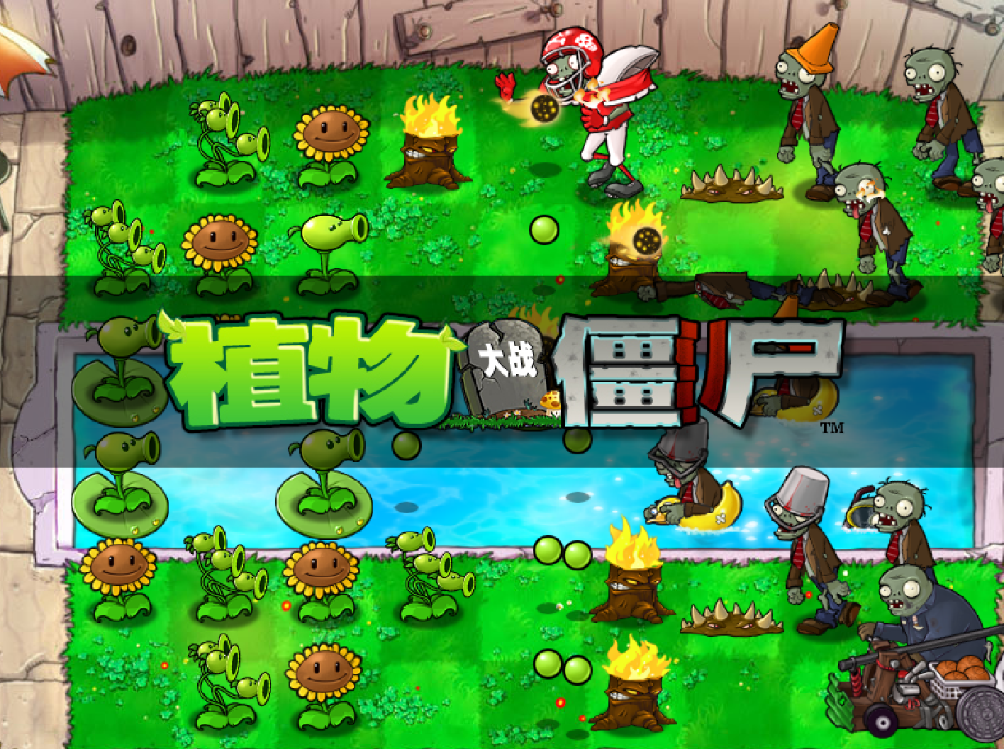 植物大战僵尸安装助手1