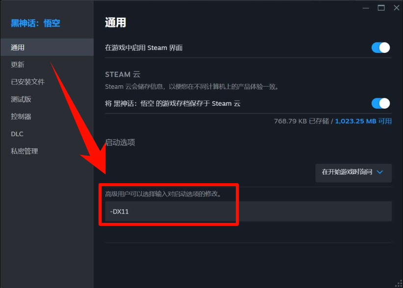 启动选项输入-dx11 启动选项输入-dx11
