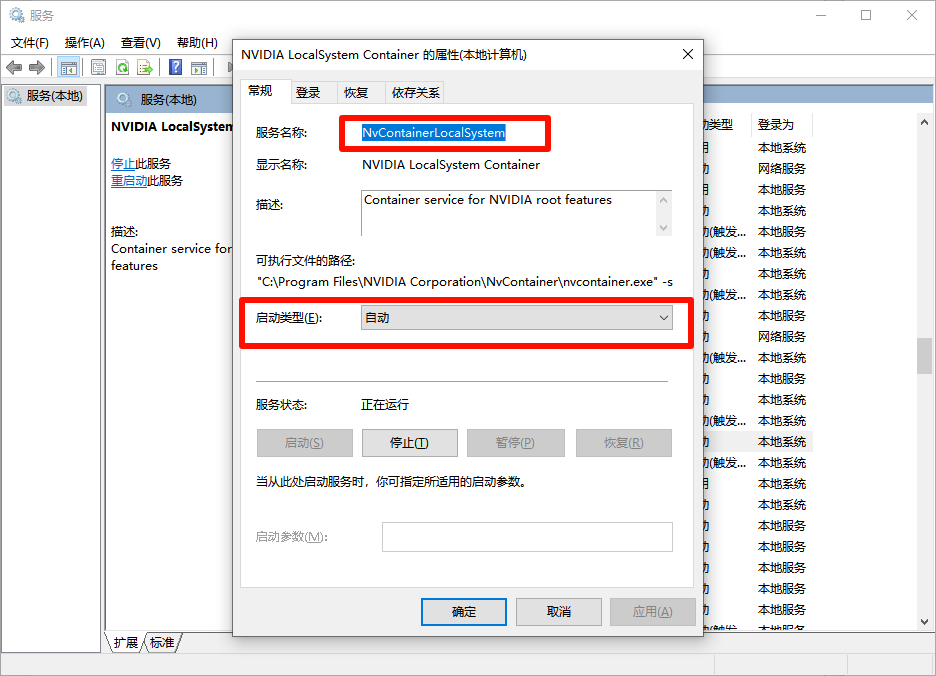 NVIDIA LocalSystem Container NVIDIA LocalSystem Container