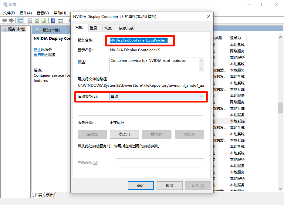 NVIDIA Display Container LS NVIDIA Display Container LS