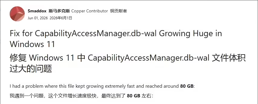 Capability Access Manager占用空间异常 Capability Access Manager占用空间异常