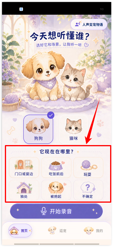 猫狗实时翻译器10