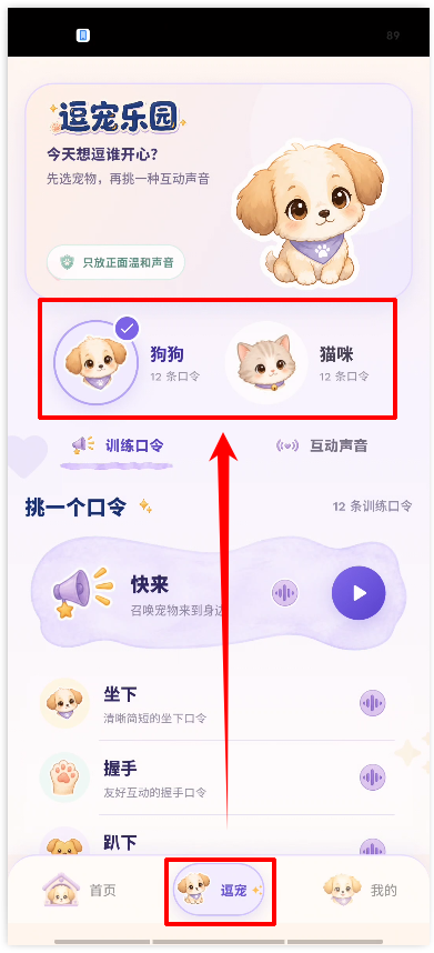 猫狗实时翻译器1