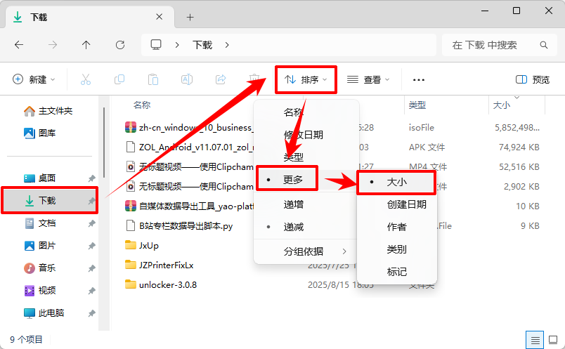 查看下载文件夹中的大文件